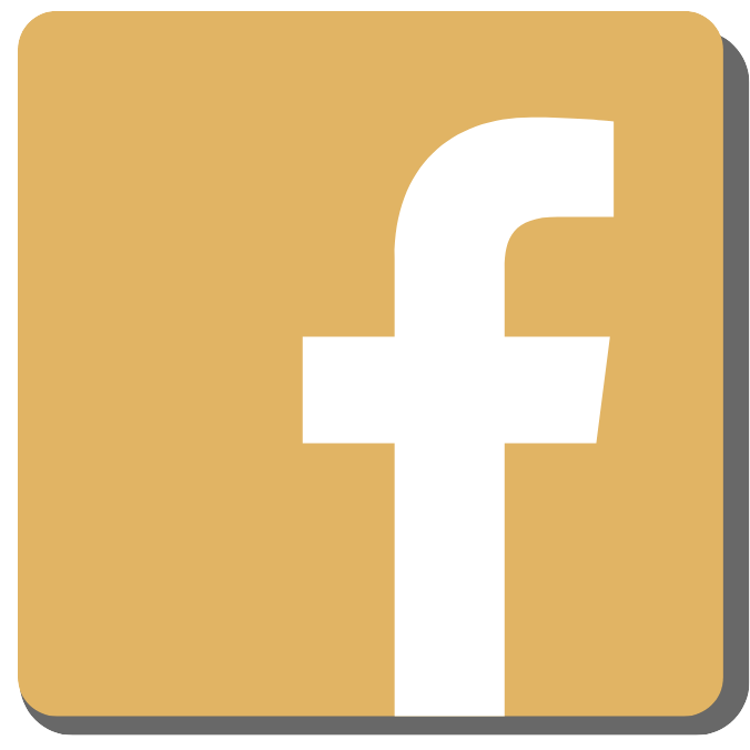 facebook icon