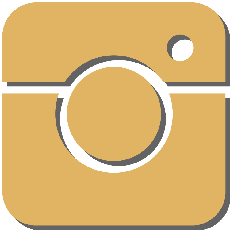 instagram icon